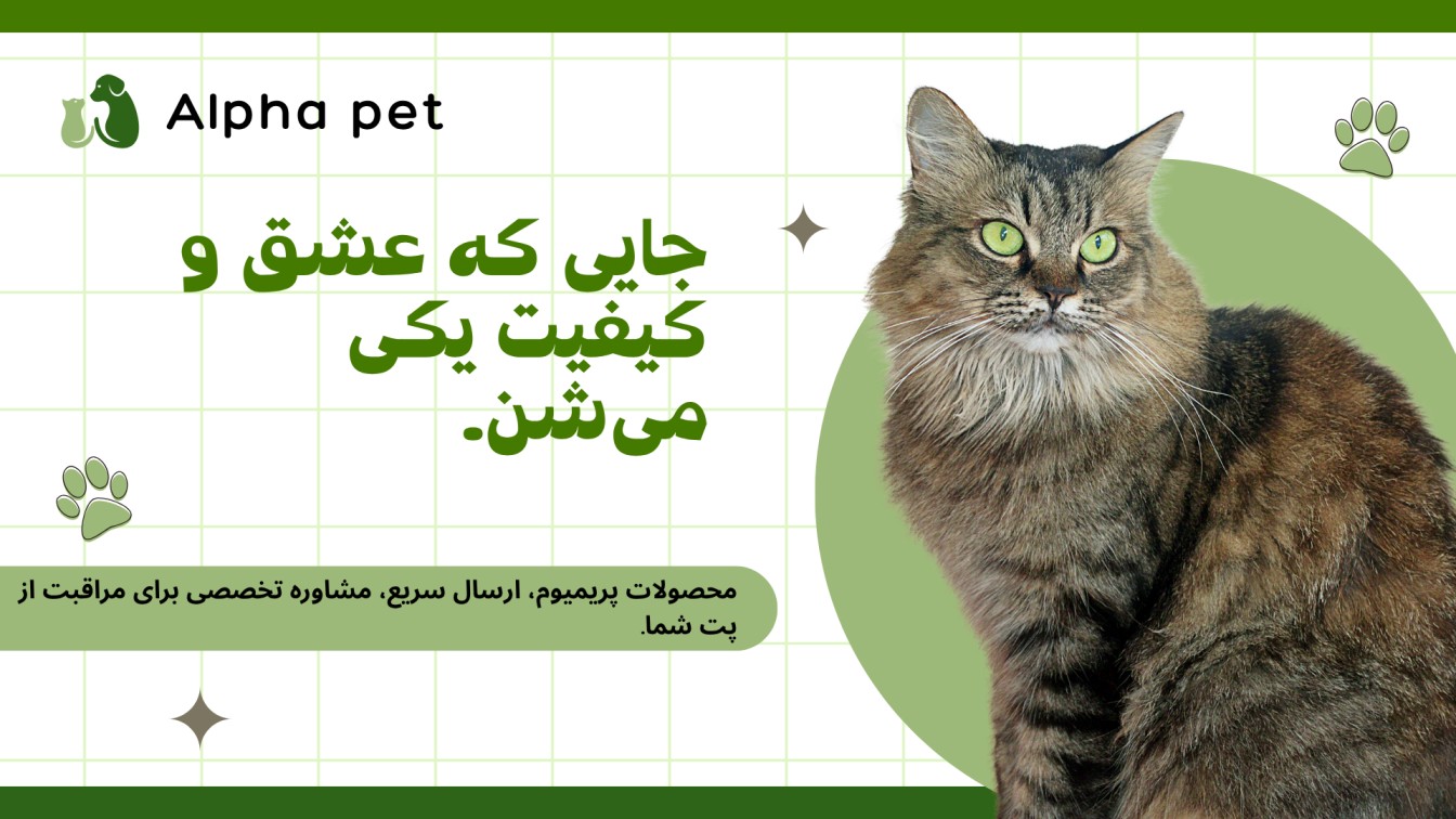 slide-image-undefined